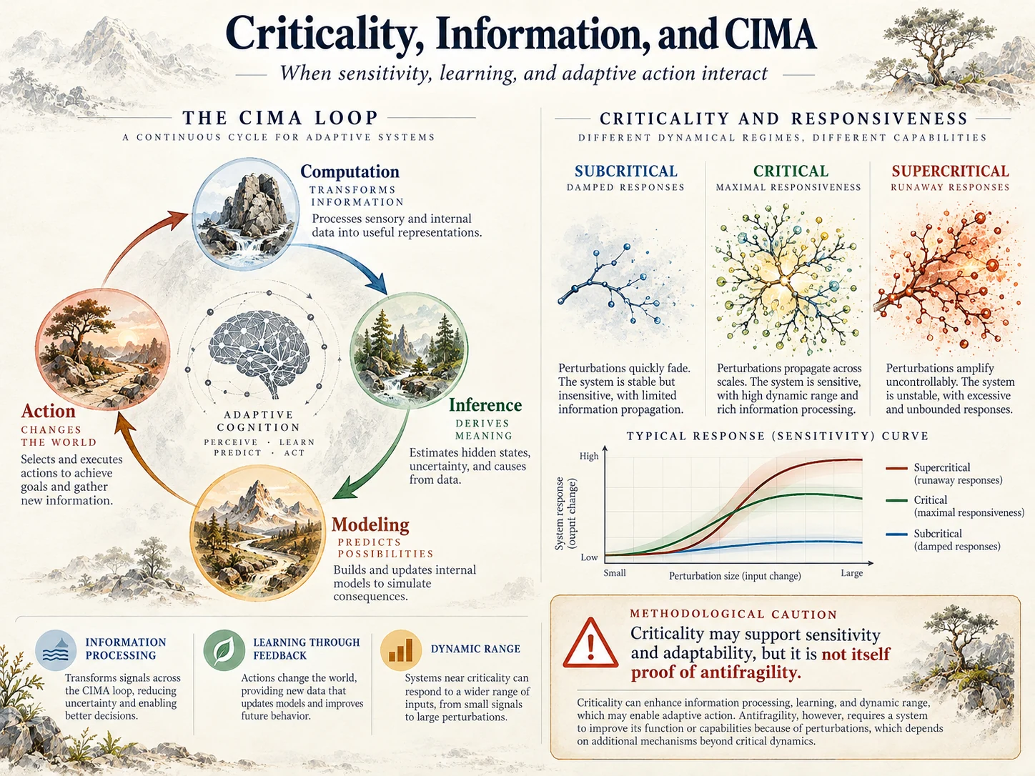 CIMA information-action loop alongside subcritical, critical and supercritical networks with a visible caution that criticality does not prove antifragility.